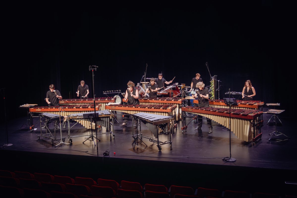 Image Ensemble Polychrome